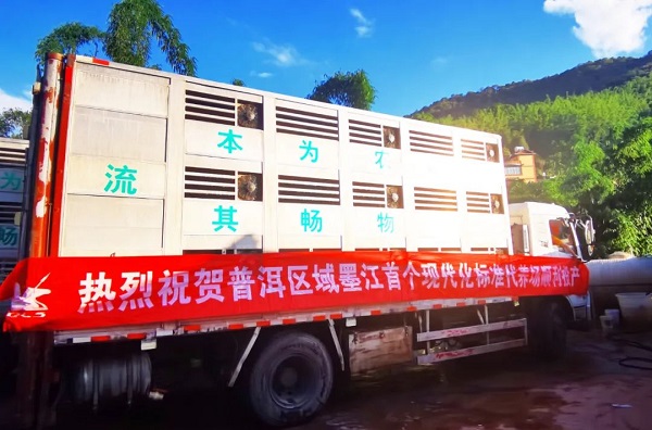 中国电子游艺网站下载安装
