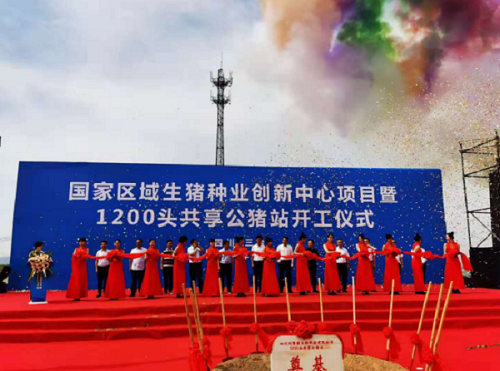 中国电子游艺网站下载安装
