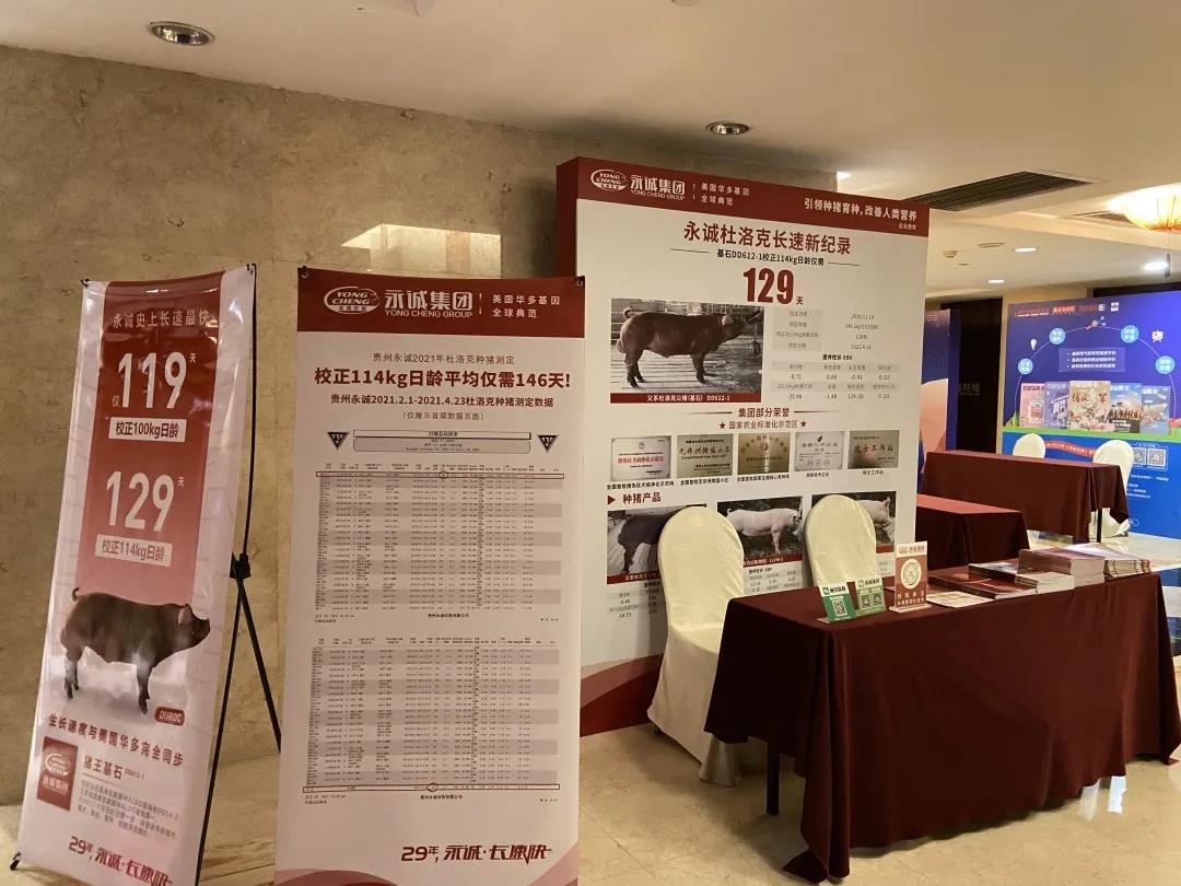 中国电子游艺网站下载安装
