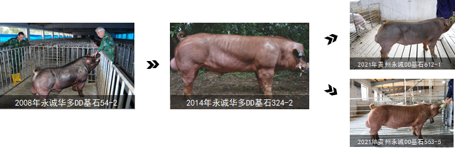 中国电子游艺网站下载安装
