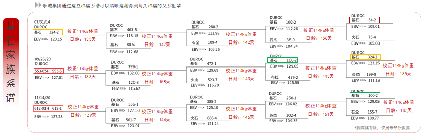 中国电子游艺网站下载安装
