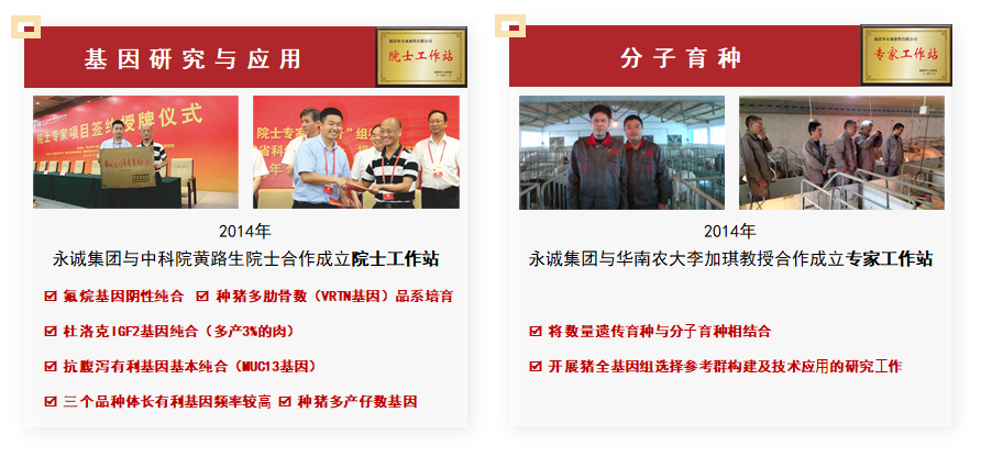 中国电子游艺网站下载安装
