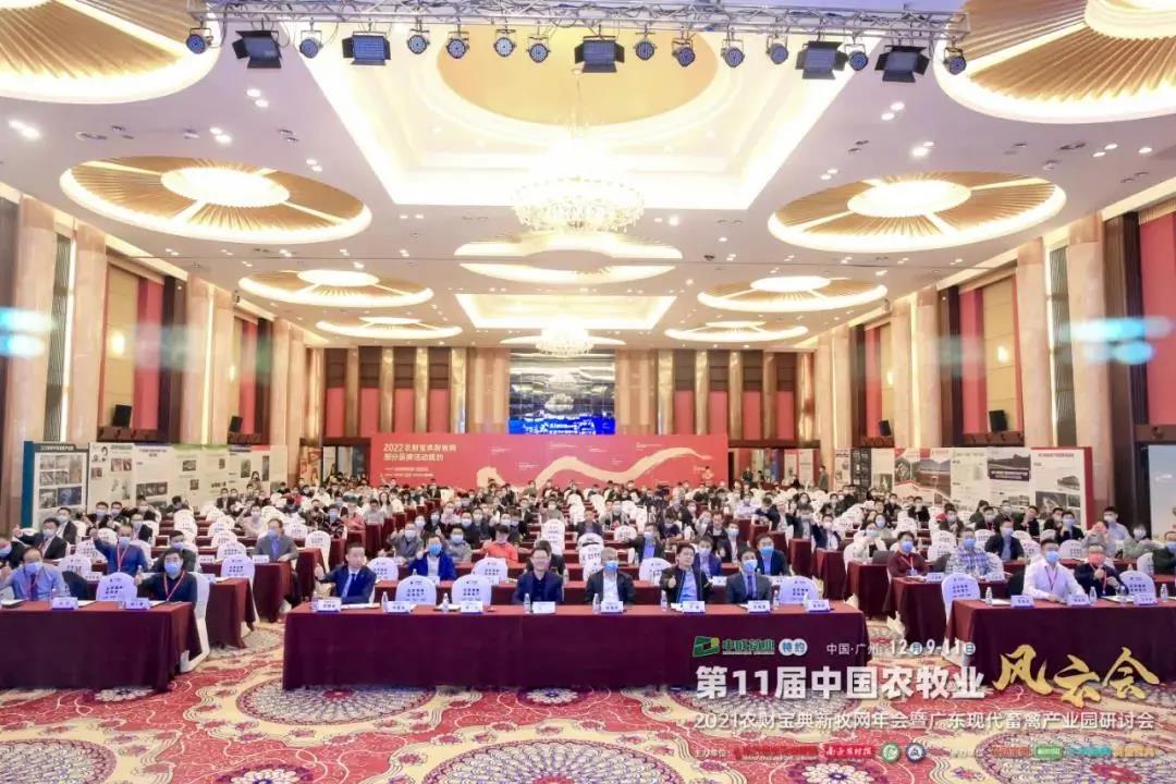 中国电子游艺网站下载安装
