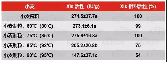中国电子游艺网站下载安装
