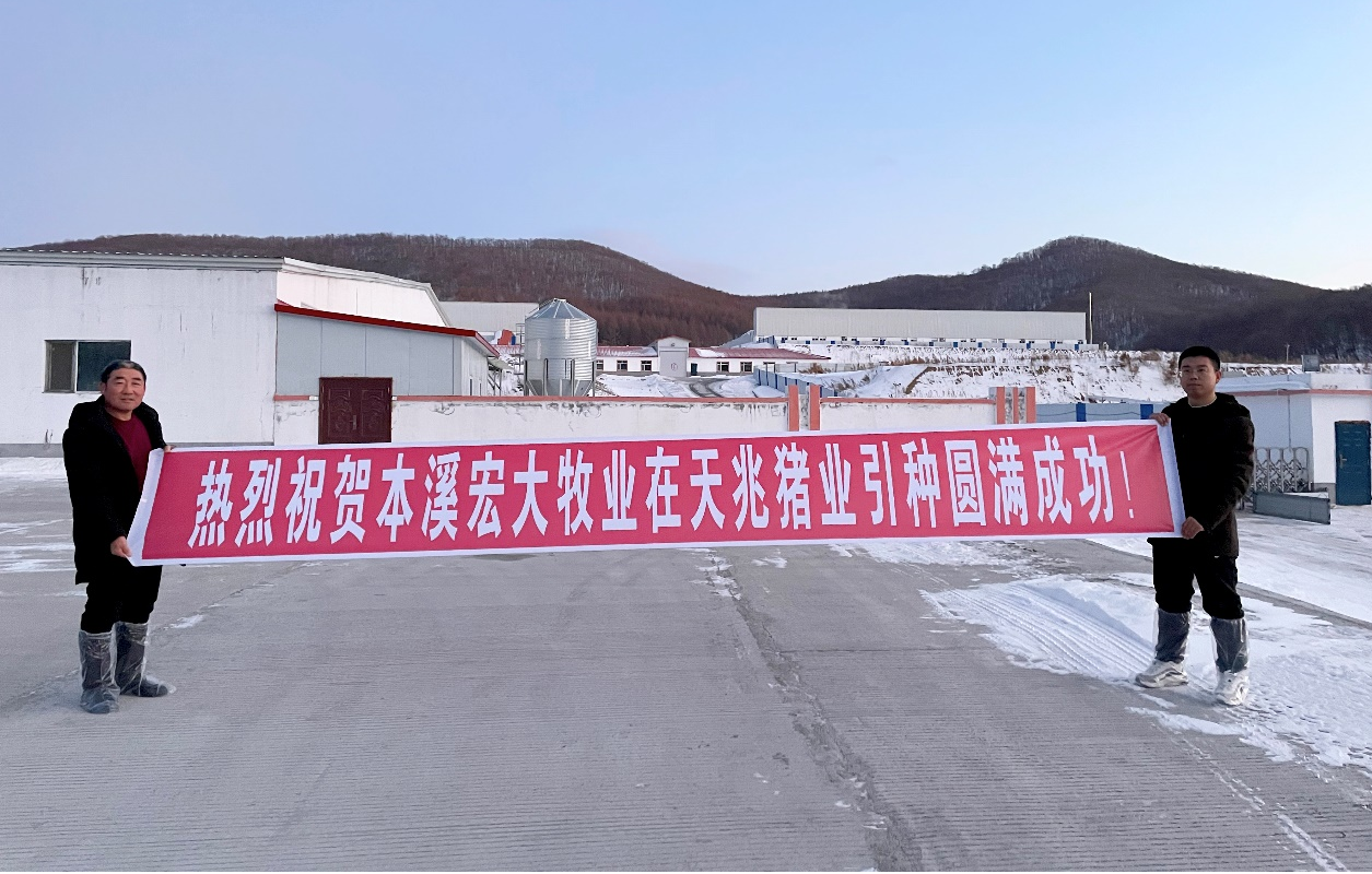 新年开门红，4920头天兆法系种猪成功交付！