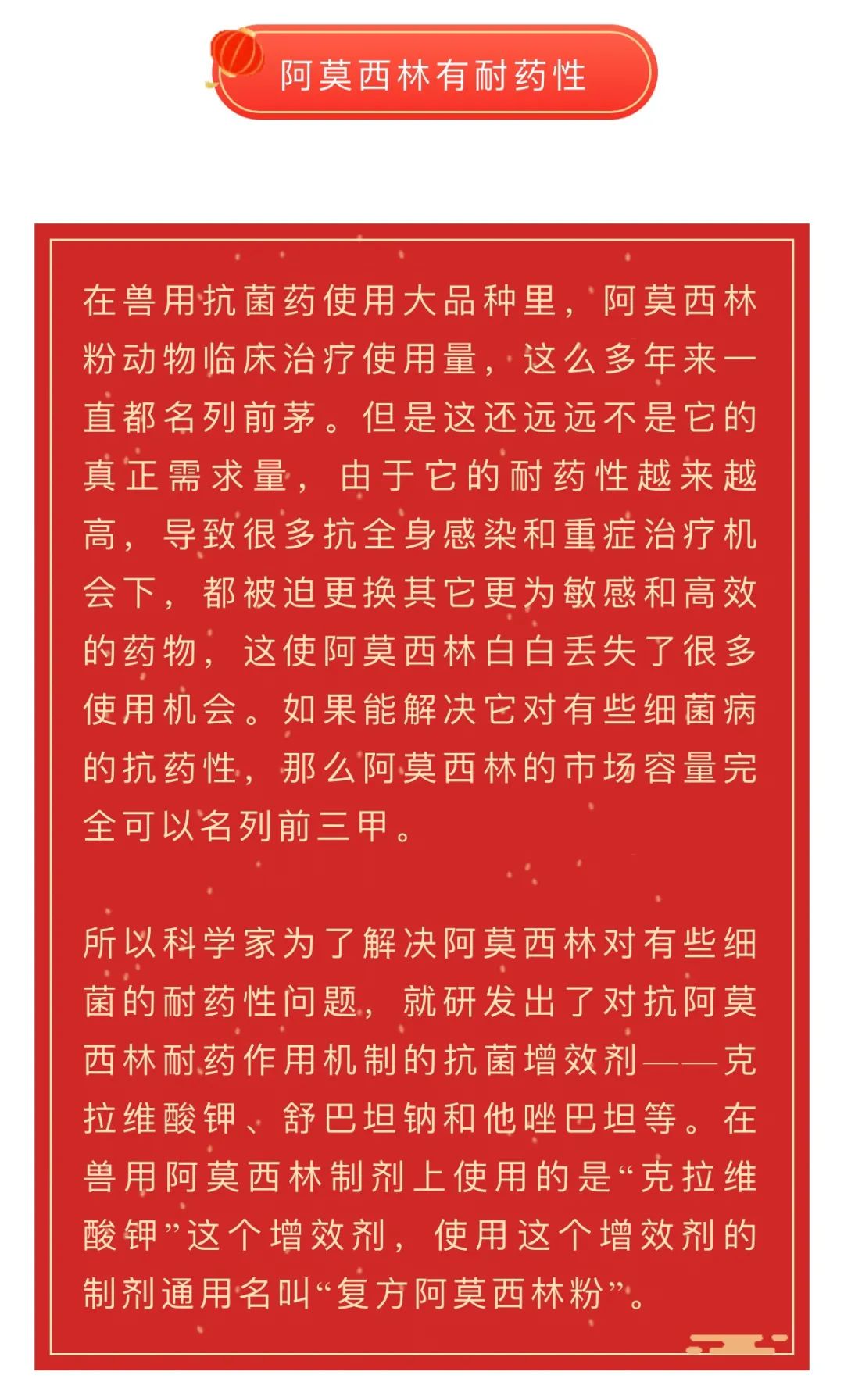 中国电子游艺网站下载安装

