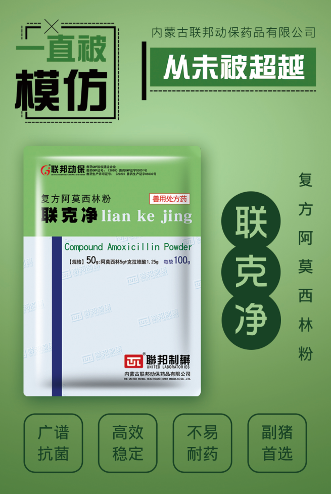 中国电子游艺网站下载安装

