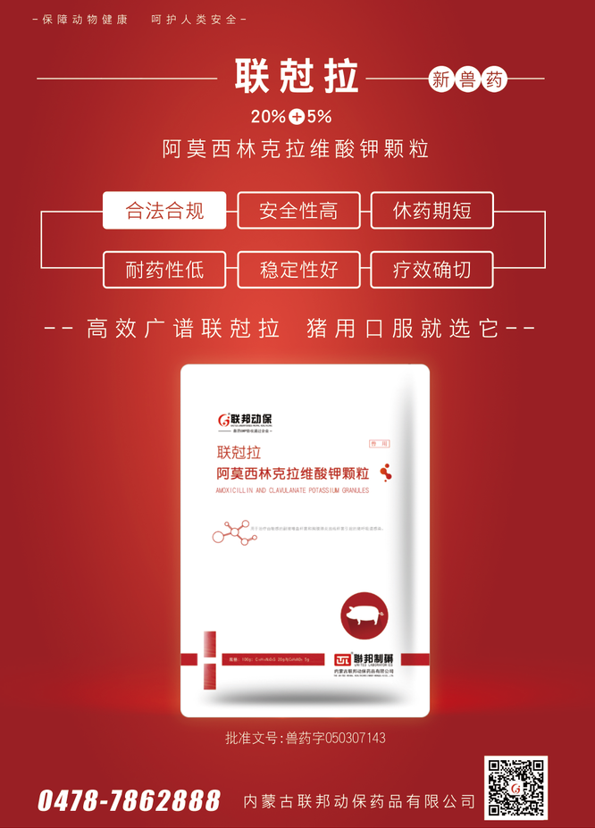 中国电子游艺网站下载安装
