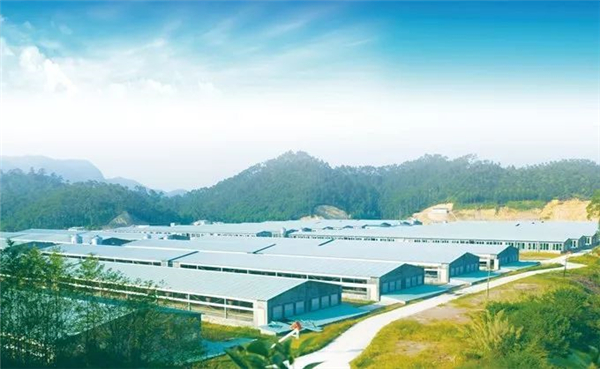 发酵床养电子游艺网站
猪舍的设计原则是什么