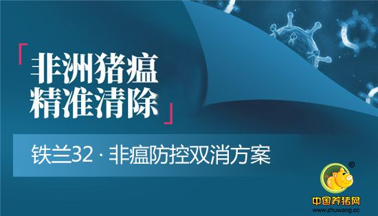 预防非洲猪瘟，为猪只增强免疫力是首选有效非洲猪瘟预防及治疗措施！