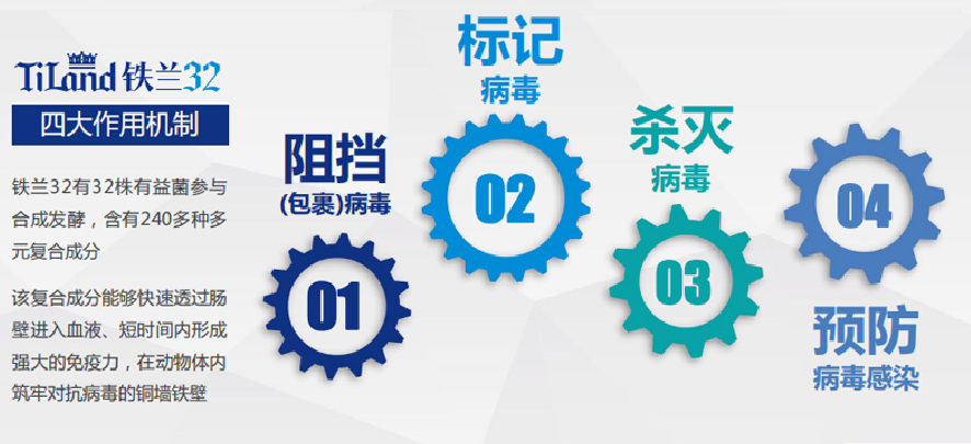 中国电子游艺网站下载安装
