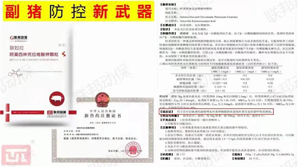 中国电子游艺网站下载安装
