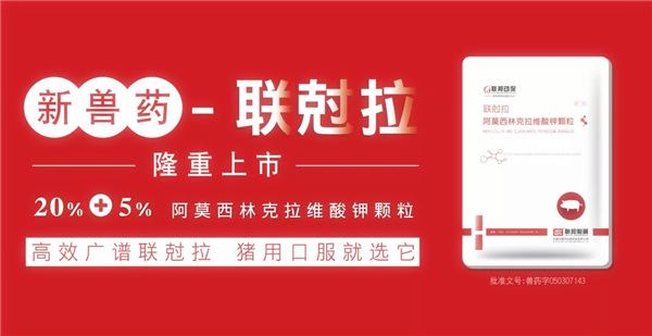 中国电子游艺网站下载安装
