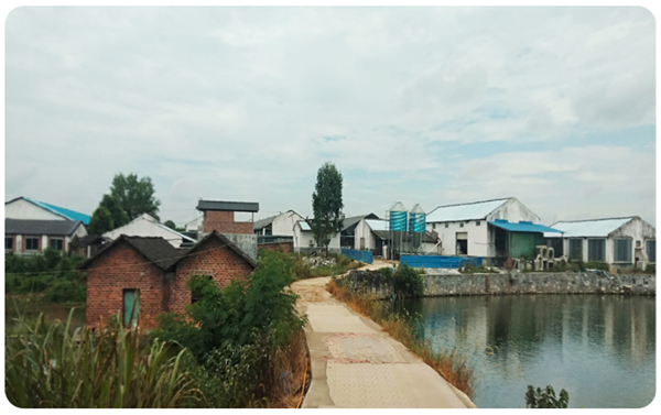 规模电子游艺网站
 | 330头母电子游艺网站
 生产成绩提升