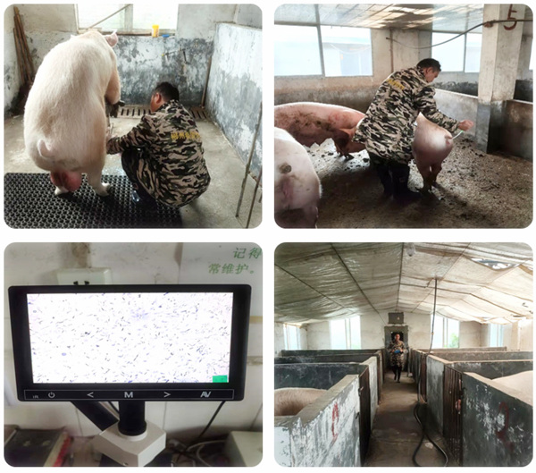 中国电子游艺网站下载安装
