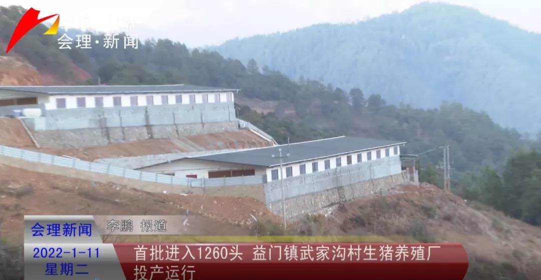 开门红！凉山会理益门镇自动化养电子游艺网站
喜迎首批“靓仔”