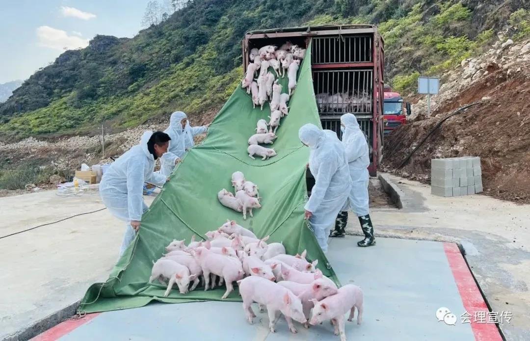 中国电子游艺网站下载安装
