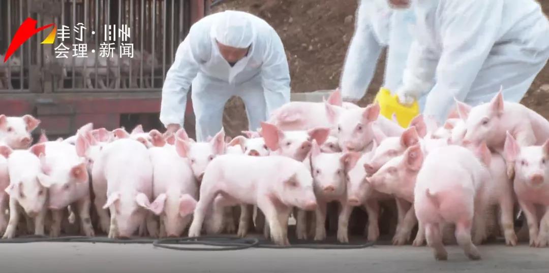 中国电子游艺网站下载安装
