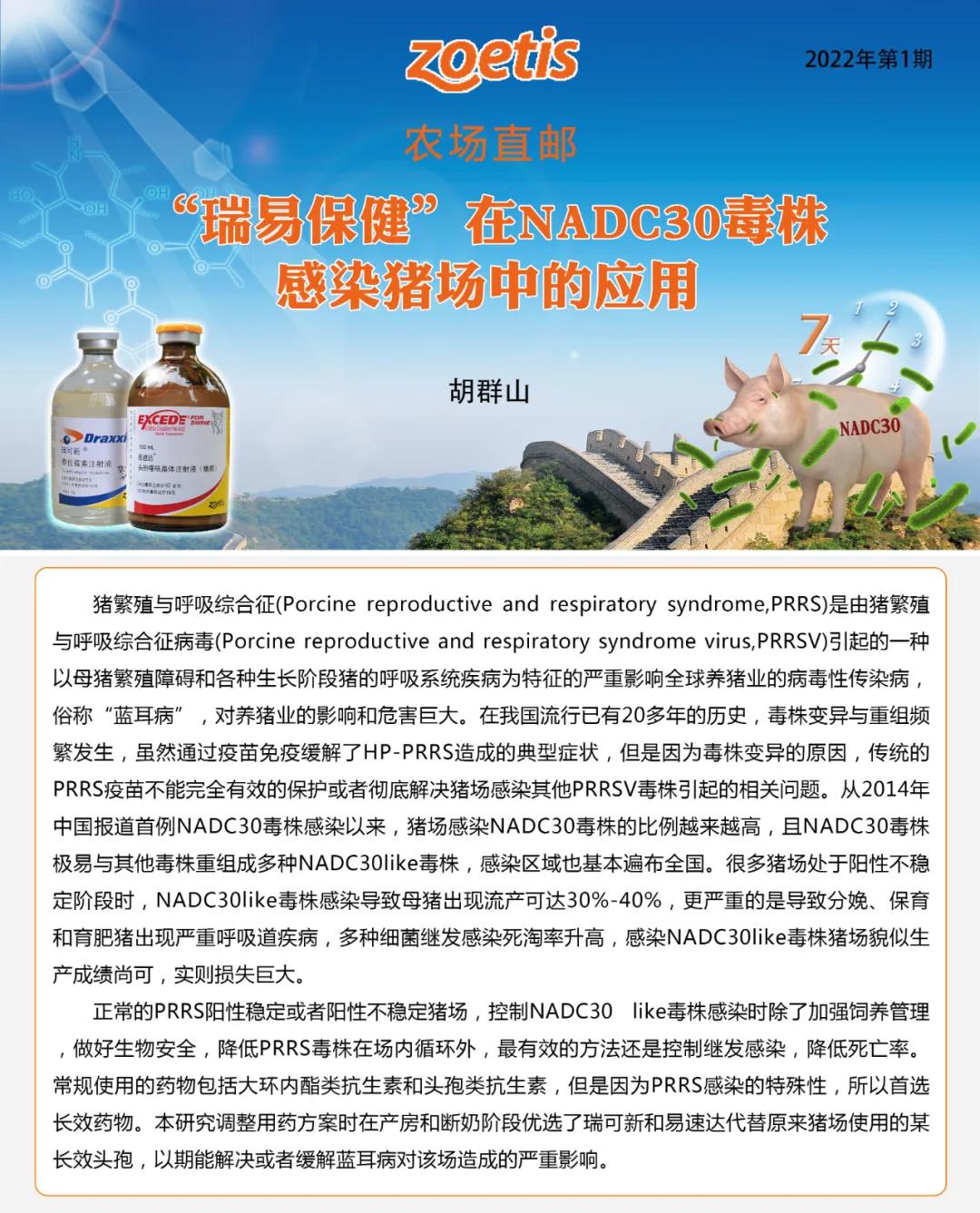 中国电子游艺网站下载安装
