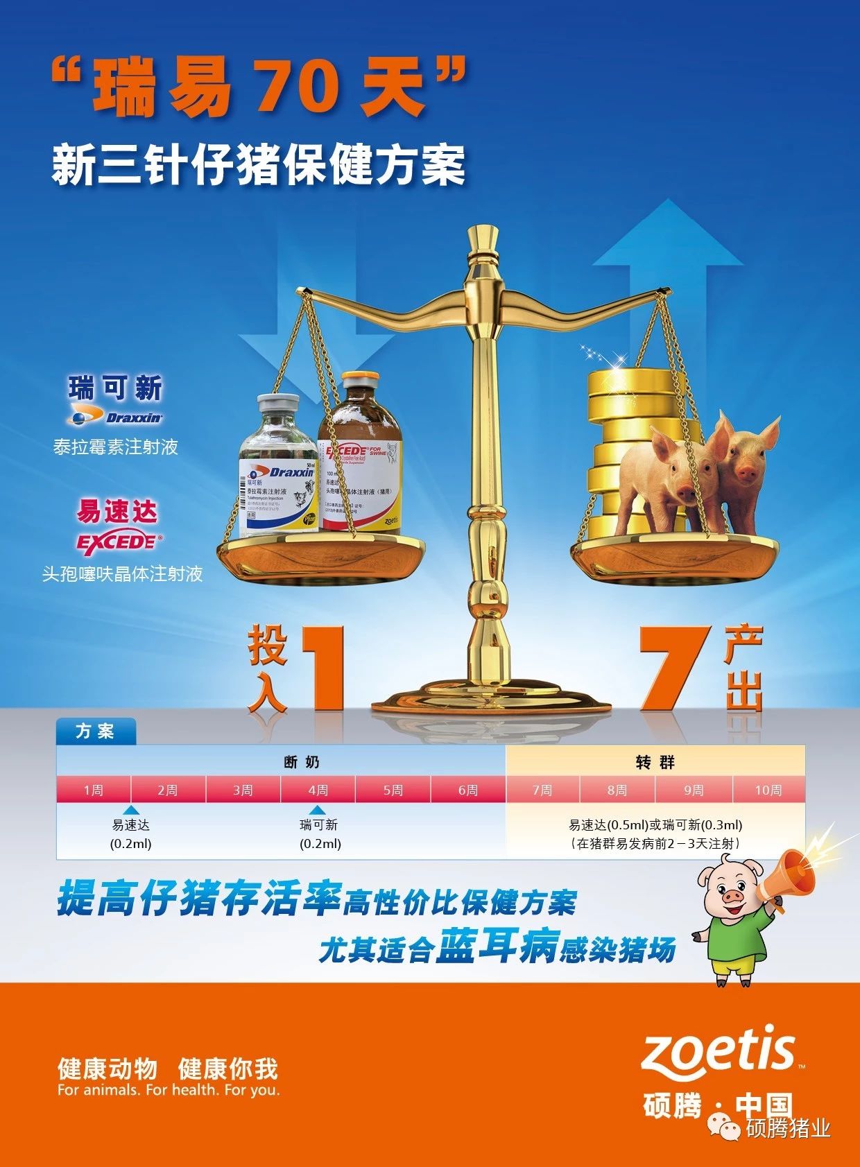 中国电子游艺网站下载安装
