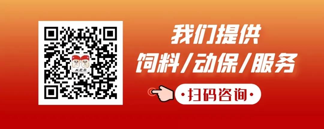 中国电子游艺网站下载安装