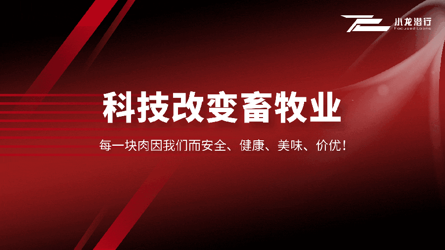 中国电子游艺网站下载安装
