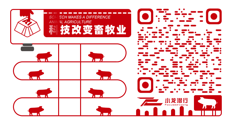 中国电子游艺网站下载安装
