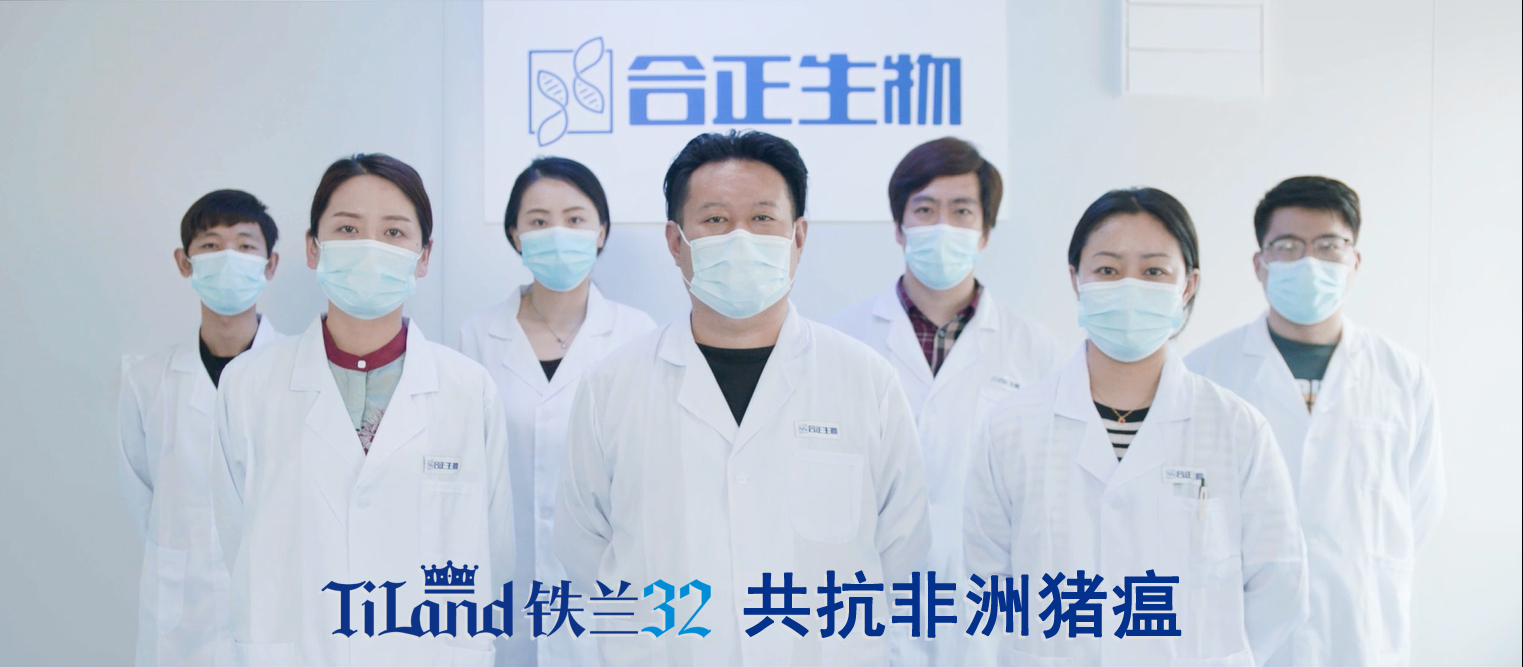 非洲猪瘟铁兰32团队