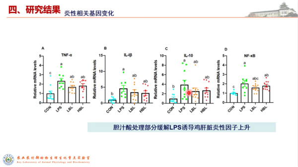 中国电子游艺网站下载安装

