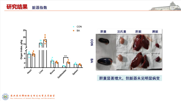 中国电子游艺网站下载安装
