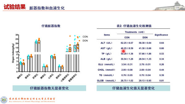 中国电子游艺网站下载安装

