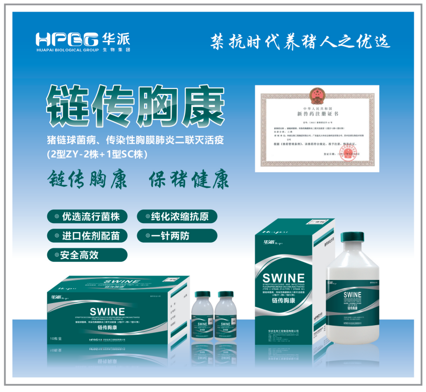 中国电子游艺网站下载安装
