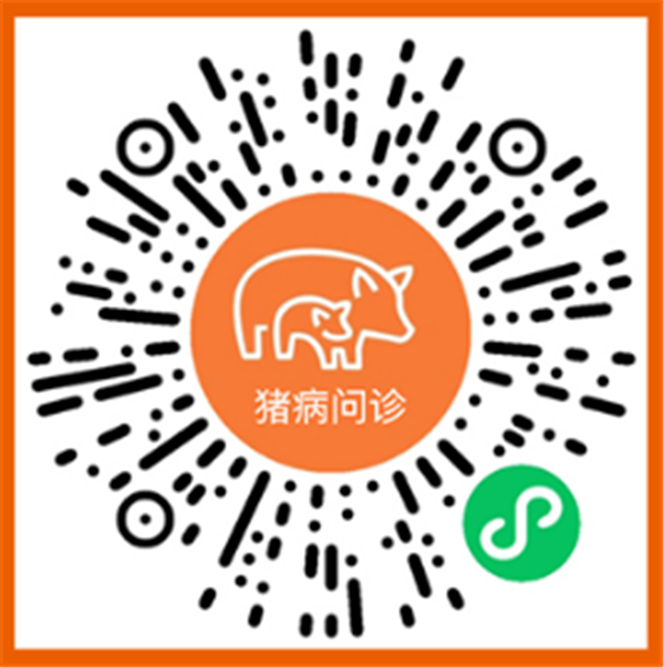 中国电子游艺网站下载安装
