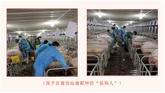 中国电子游艺网站下载安装
