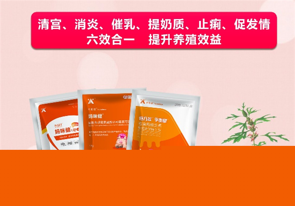 中国电子游艺网站下载安装
