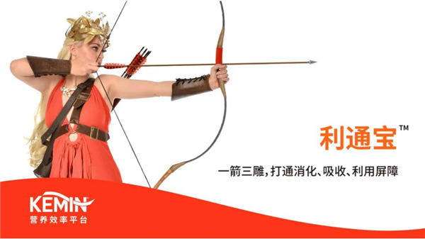 中国电子游艺网站下载安装
 