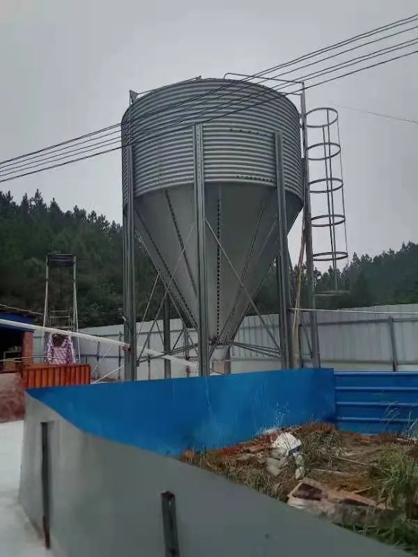 中国电子游艺网站下载安装
