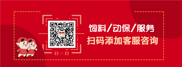 中国电子游艺网站下载安装
