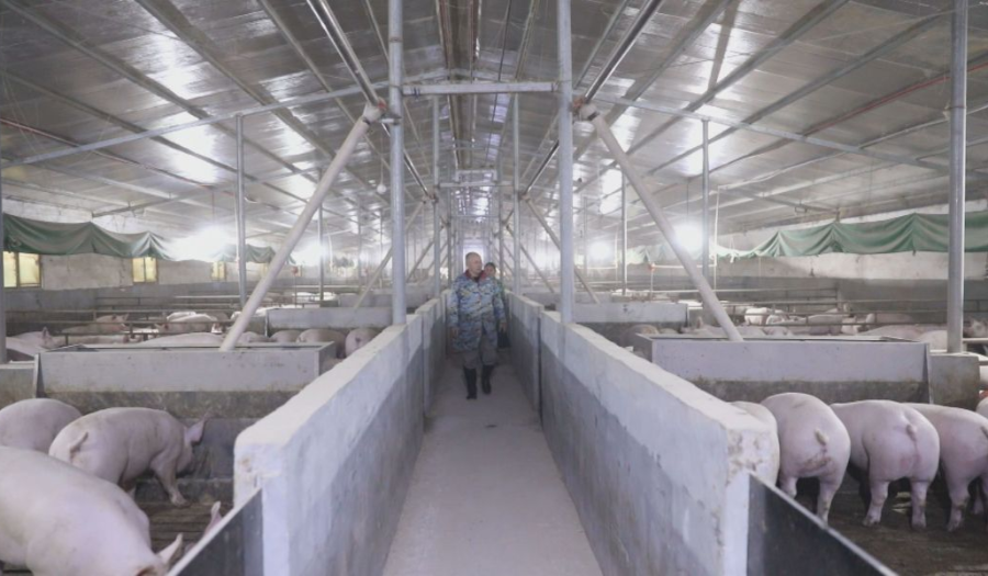 中国电子游艺网站下载安装
