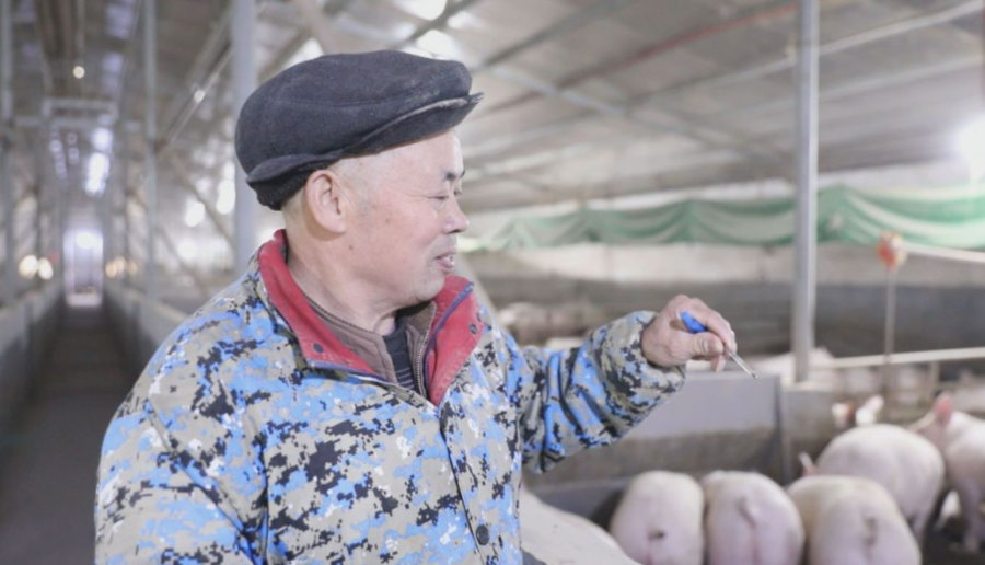 中国电子游艺网站下载安装
