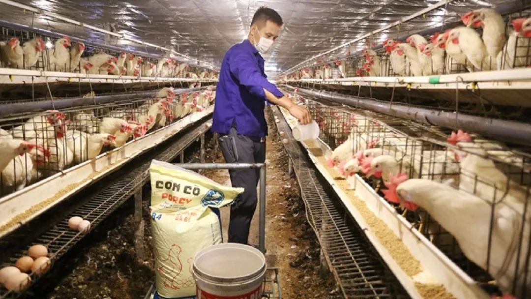 中国电子游艺网站下载安装