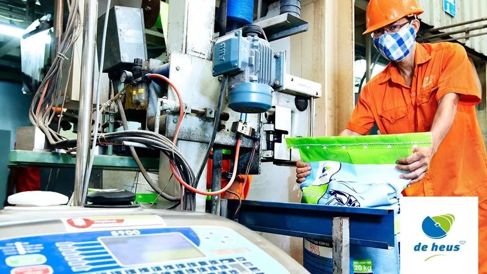 中国电子游艺网站下载安装