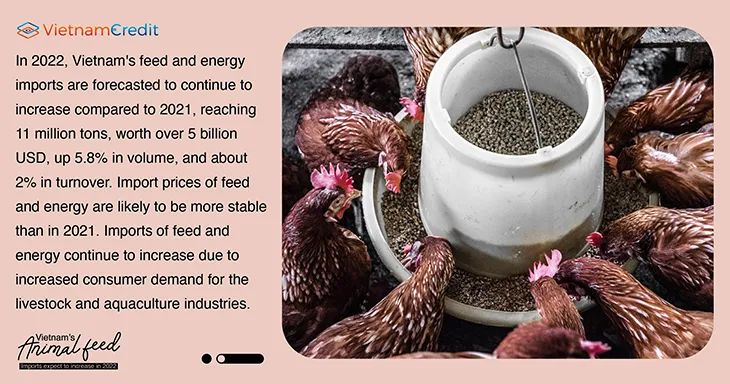 中国电子游艺网站下载安装