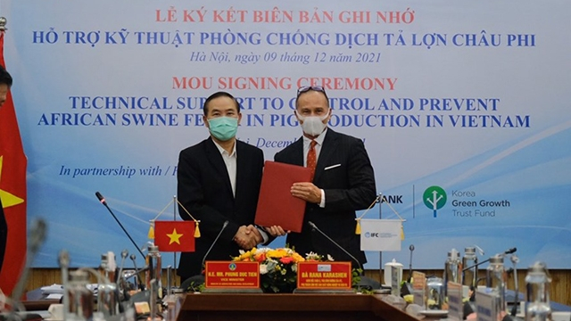 中国电子游艺网站下载安装