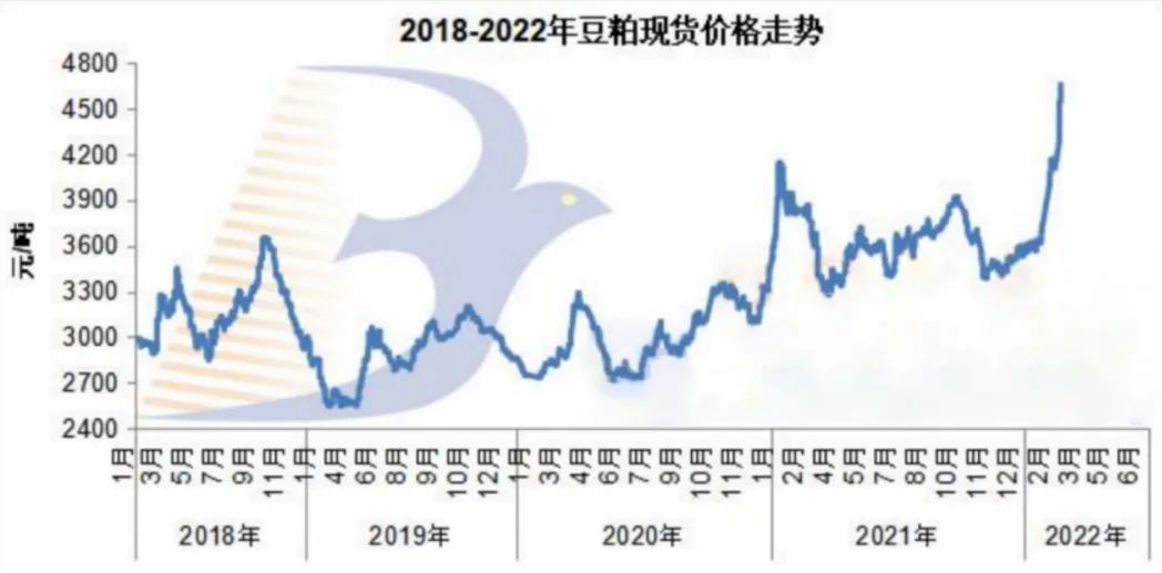 中国电子游艺网站下载安装
