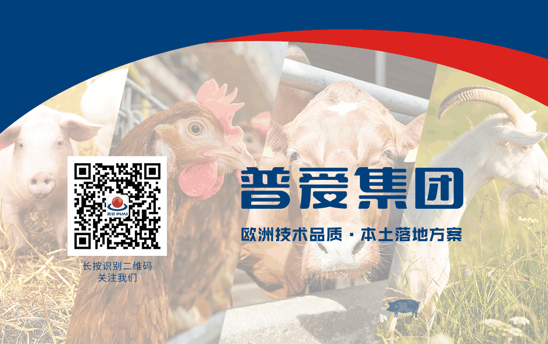 中国电子游艺网站下载安装

