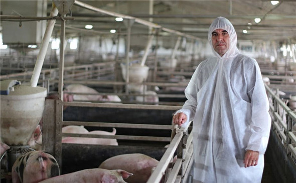 3月6日韩国发生一起非洲猪瘟疫情，目前疫情仍在继续