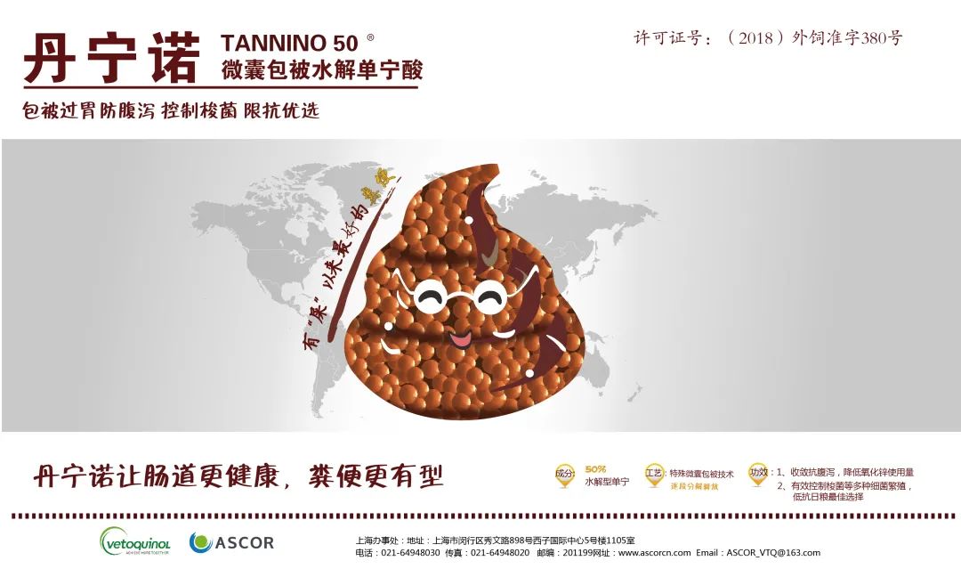 中国电子游艺网站下载安装
