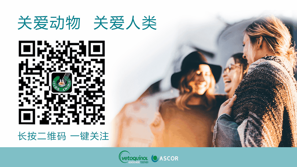 中国电子游艺网站下载安装
