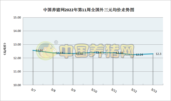 中国电子游艺网站下载安装